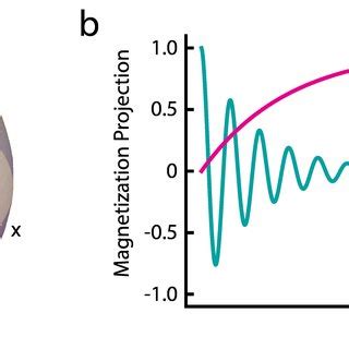 2: The vector model. The net magnetization vector is shown in blue. The ...