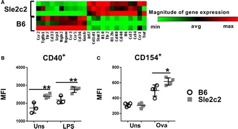 B6 Sle2c2 Bone Marrow Derived DCs BMDCs Display A Less Inflammatory