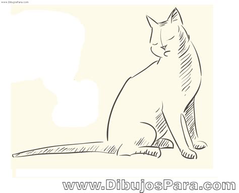 Dibujo De Gato Sentado Dibujos De Gatos Para Pintar Dibujos Para