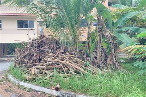 Padah Buang Sampah Di Tempat Awam Media Permata Online