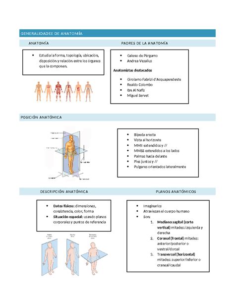Generalidades De Anatom A Generalidades De Anatom A Anatom A