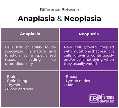 Difference Between Anaplasia and Neoplasia | Difference Between ...