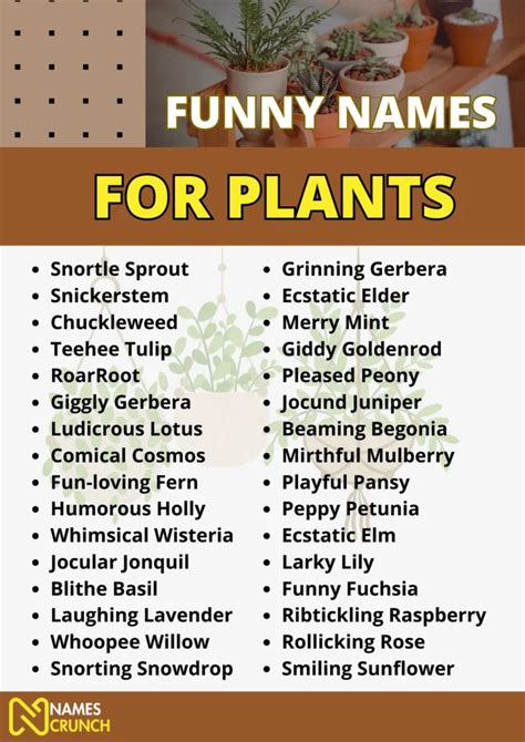 Funny Names For Plants In Names Crunch