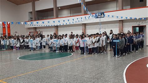 Estudiantes rionegrinos prometieron a la Bandera Energía