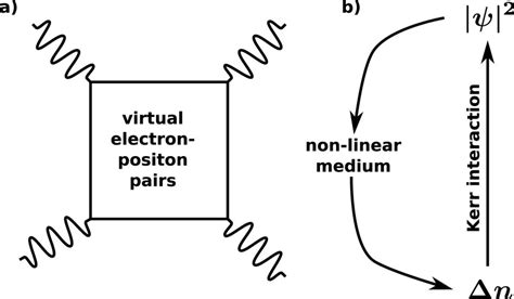 Possible photon–photon interaction processes. (a) Interaction vertex in ...