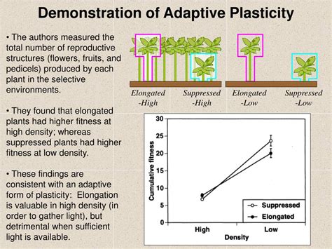 PPT - The Evolution of Plasticity & Learning PowerPoint Presentation ...