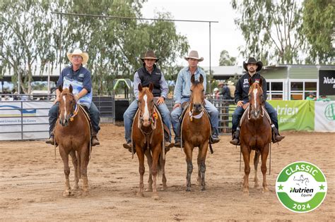 Buyer interest escalates at the 2024 Nutrien Classic – Nutrien Equine