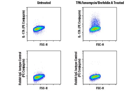 Il A D X L Rabbit Mab Pe Conjugate Cell Signaling Technology