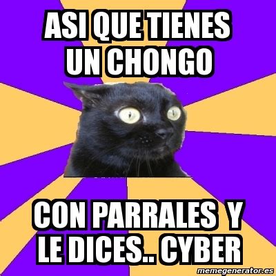 Meme Anxiety Cat Asi Que Tienes Un Chongo Con Parrales Y Le Dices