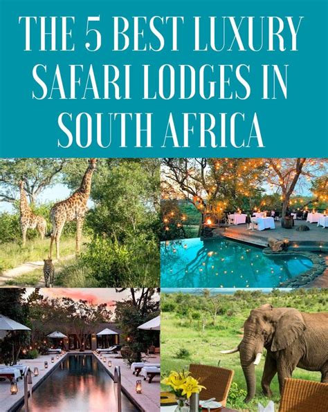 The 5 Best Luxury Safari Lodges In South Africa South Africa Vacation