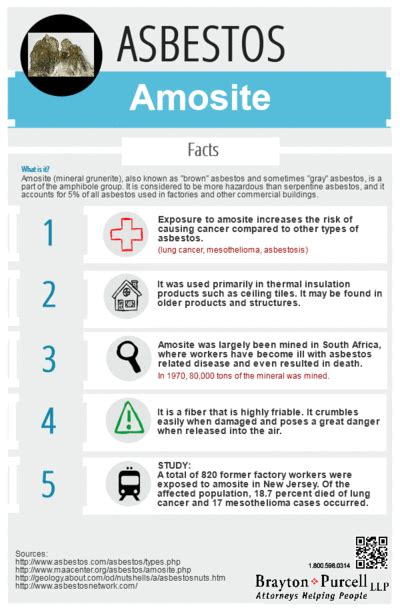 Asbestos Infographic Amosite Facts