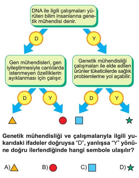 8 Sınıf Dna Ve Genetik Kod Test Çöz Lgs Çözümlü Sorular Ve Testler