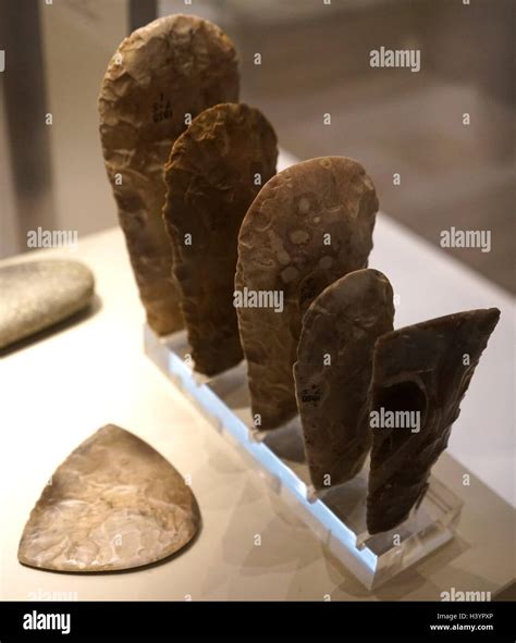 Neolithic Axe Heads Hi Res Stock Photography And Images Alamy