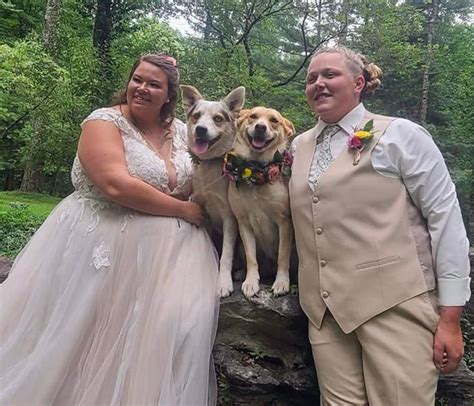 Este Perro Hizo Photobomb En La Boda De Sus Dueños Y La Gente Comparte Fotos Similares Panda