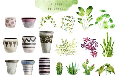 Indoor Plants Watercolor Clipart By Dervik Art Thehungryjpeg