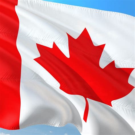 Panamá Gobierno Canadiense Respeta Fallo Que Anula Contratos De First