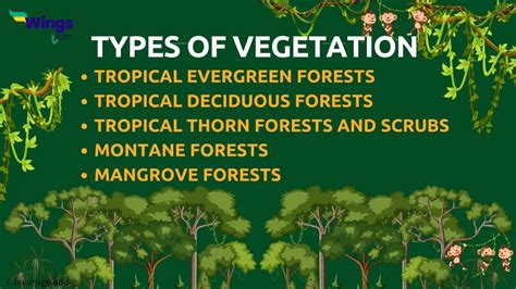 CBSE Class 9 Natural Vegetation And Wildlife Notes Leverage Edu