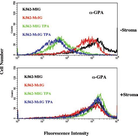 K562 Mig Cells Despite Constitutive Expression Of Pkc Retain Download Scientific Diagram