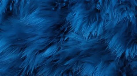 Close Up Texture Of Blue Fur Background Perfect Wallpaper Option Fur