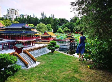 These 8 Shenzhen Parks Were the Most Popular During CNY – That’s Shenzhen