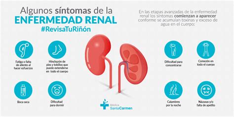 Etapas De La Enfermedad Renal