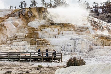 Mammoth Hot Springs Complex, USA (with Map & Photos)