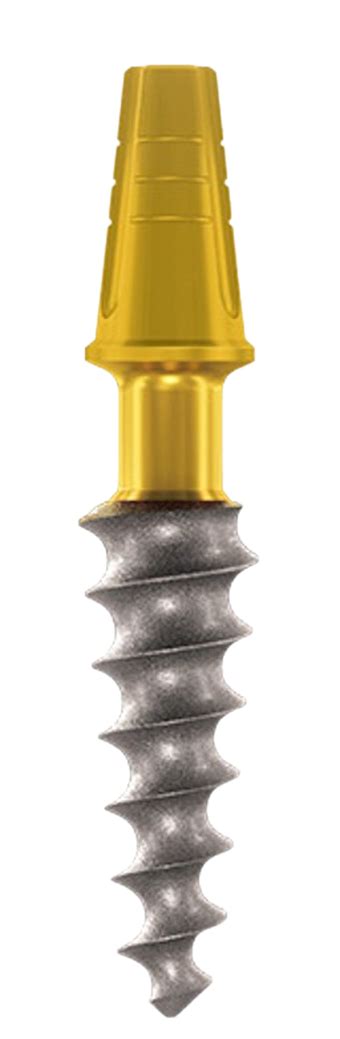 Dsi Implant One Piece Compressive Dental Implant Spotimplant