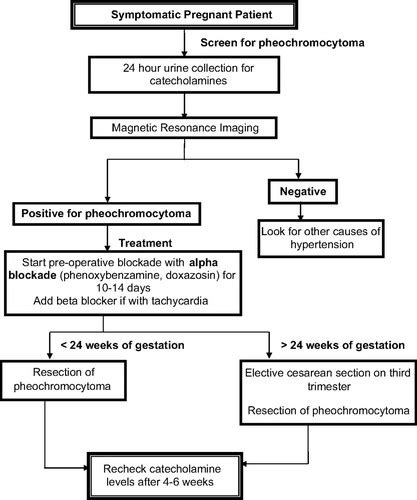 Pheochromocytoma In Pregnancy Hypertension