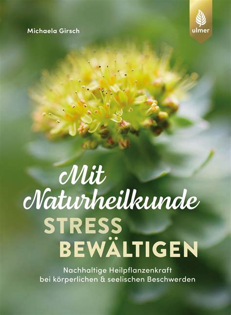 Mit Naturheilkunde Stress Bew Ltigen Von Michaela Girsch Buch