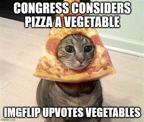 Pizza Is A Vegetable Imgflip