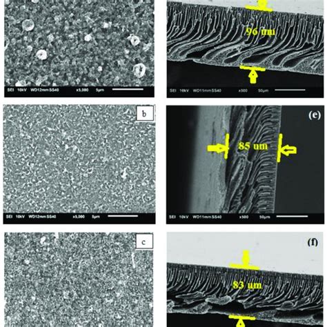 Scanning Electronic Micrography Sem Top Surfaces A C And Their