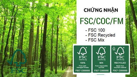 Tìm hiểu fsc mix credit là gì để biết độ bền của sản phẩm gỗ