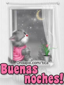 imagenes buenas noches gatitos tiernos durmiendo dulces sueños