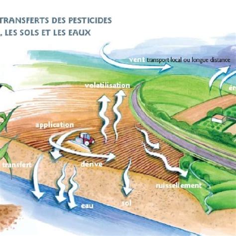 Transfert Des Pesticides Dans L Environnement Source ASQAB ARPAM