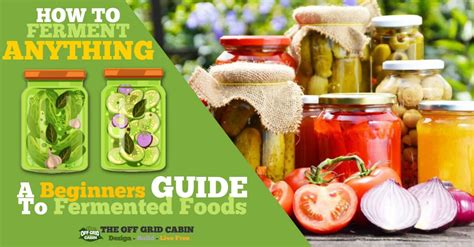 How To Ferment Food A Fun And Easy Beginner S Guide The Off Grid Cabin