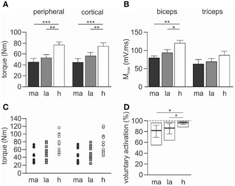 Maximal Torque Mmax And Voluntary Activation During Peripheral Nerve