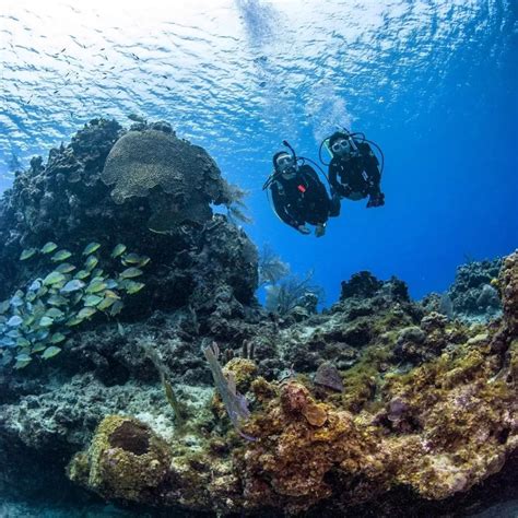 Scuba Diving In Cabo De Palos Islas Hormigas Marine Park