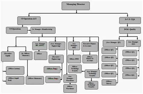 Organogram Definition Types Examples Video Lesson 49 Off