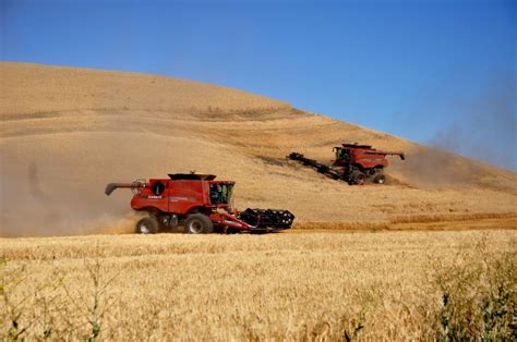 Combines Tim Marsh Washington Filmworks