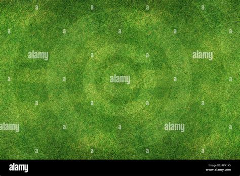 Green Football Stadium field Stock Photo - Alamy