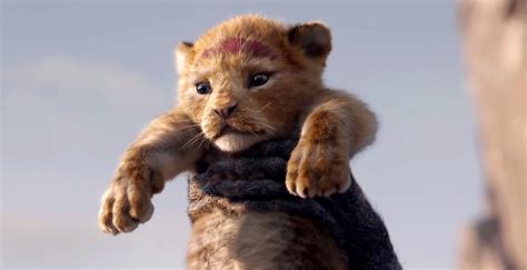 Disneys The Lion King Live Action Movie Debuts First Trailer