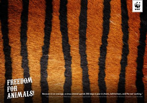 Wwf Tiger Ads