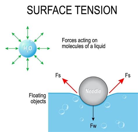 Surface Tension Practical Examples