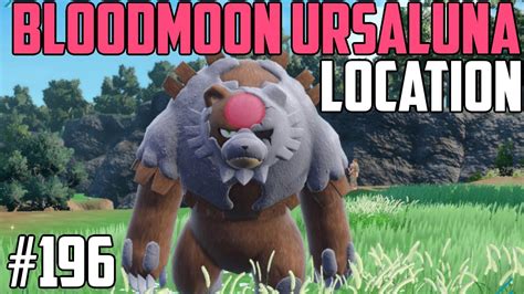 How To Catch Bloodmoon Ursaluna Pok Mon Scarlet Violet Dlc Youtube