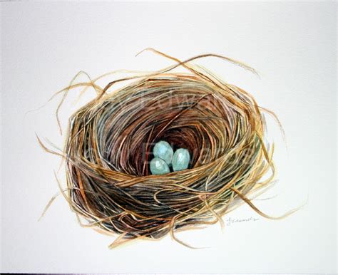 Watercolor Birds Nest Painting Original Watercolor Etsy Bird Nest