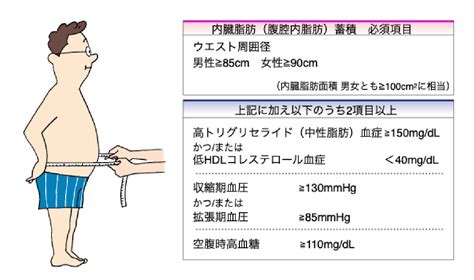 メタボリックシンドローム｜かい内科クリニック｜大阪狭山市・富田林市