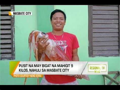 Gma Regional Tv News Pusit Na May Bigat Na Mahigit Kilos Nahuli Sa