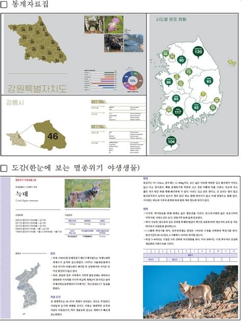 국내 멸종위기 야생생물 282종 한눈에통계자료집·도감·포스터 제작 네이트 뉴스