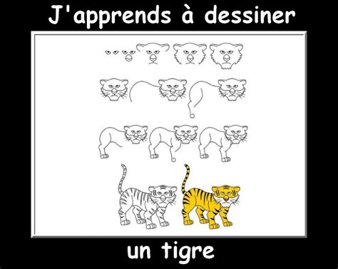 J apprends à dessiner les animaux encore La Classe de Myli Breizh