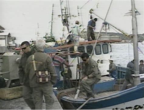 G1 Ibama Apreende Barco Duas Toneladas De Peixe Ilegal Em Laguna